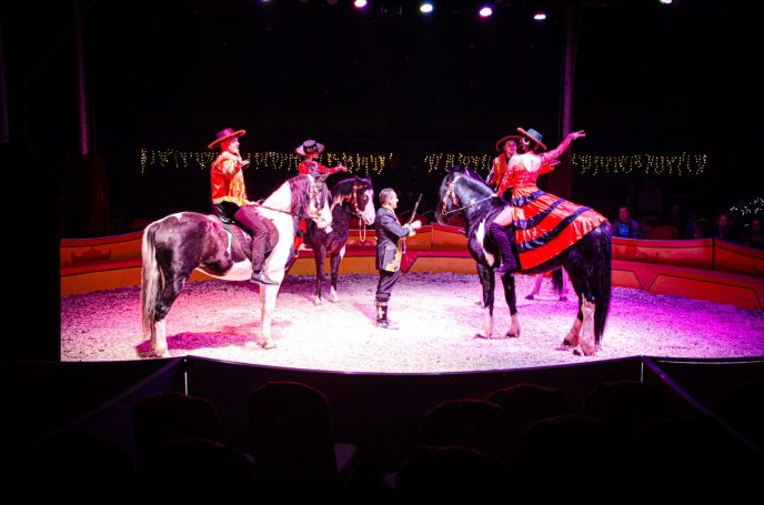 Zwei Pferde mit Reitern in bunten Kostümen präsentieren eine Show in einem Zirkus.